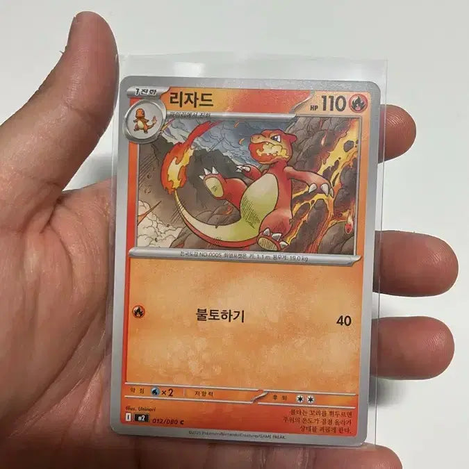 [BUNJANG] Pokemon Inferno X Series Charmander, Charmeleon, Charizard Card Bundle / 인페르노 X 시리즈 파이리 리자드 리자몽 카드일괄 판매합니다