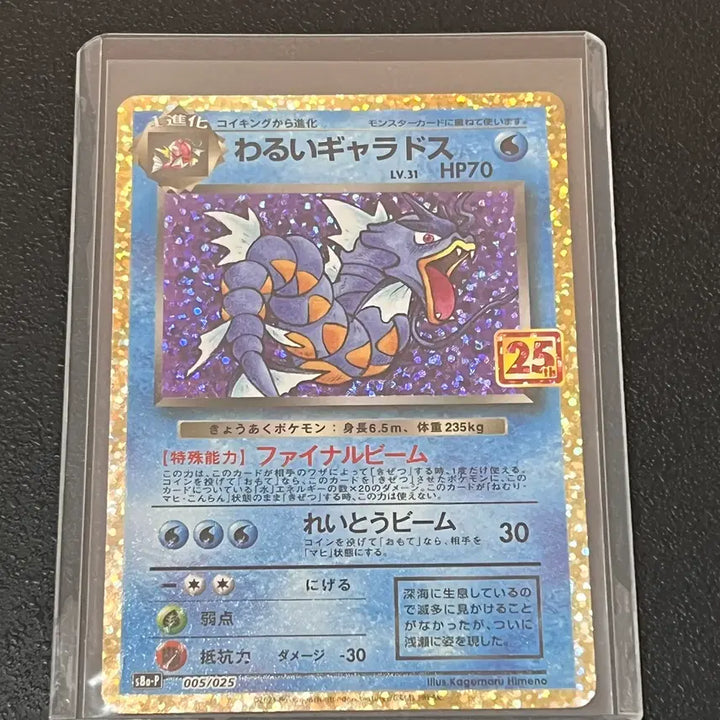 [BUNJANG] Pokemon 25th Anniversary Special Rare Dark Gyarados Japanese Card / 포켓몬 25주년기념 초레어 &