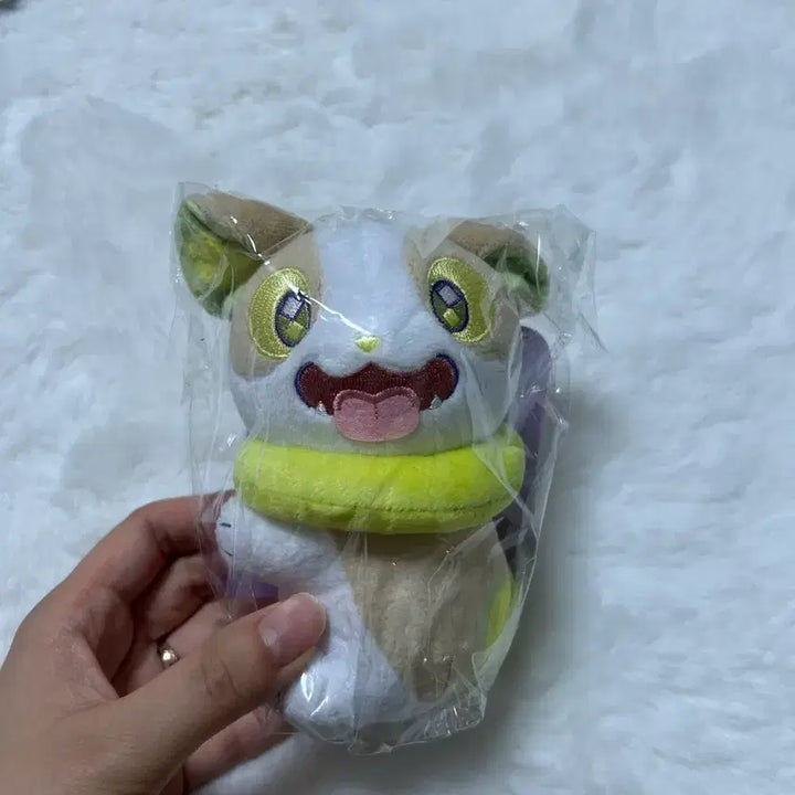 [BUNJANG] Pokemon Squirtle Play Rough Plush / 포켓몬스터 멍파치 play rough 인형