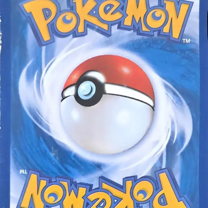 [BUNJANG] Pokemon Tirtouga Card / 포켓몬 토쇠골 카드