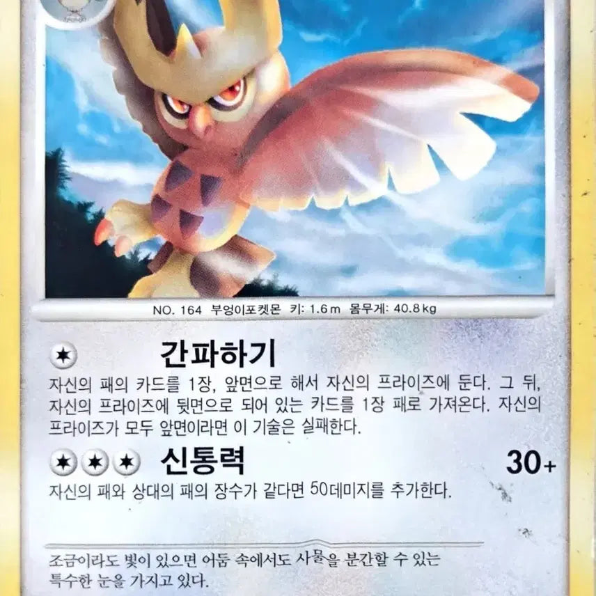 [BUNJANG] Pokemon Card Noctowl / 포켓몬 카드 야부엉