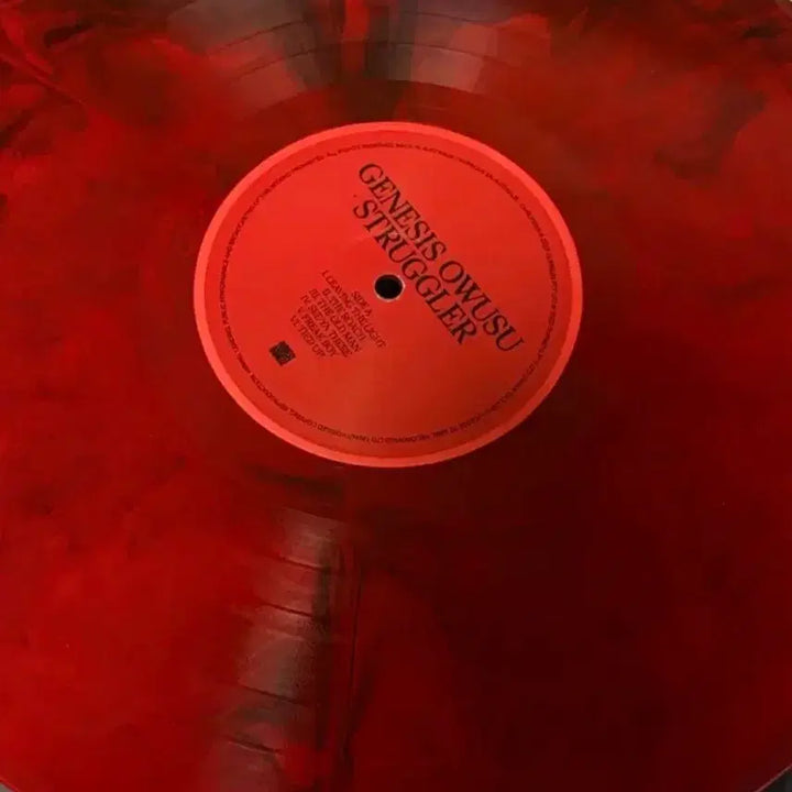 [BUNJANG] Genesis Owusu Struggler Hip Hop LP (Limited Edition Color Vinyl) / 제네시스 오우수 (genesis owusu) struggler 힙합 LP