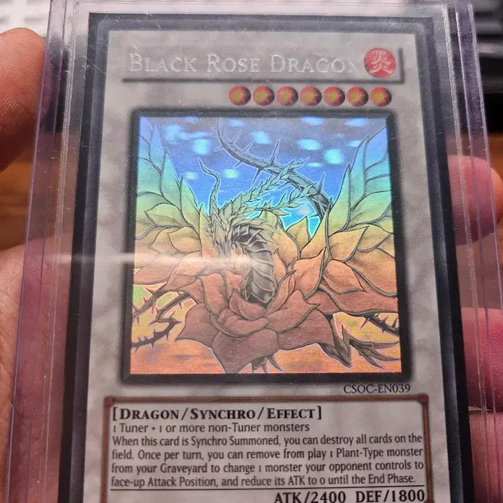 [BUNJANG] Yu-Gi-Oh! Black Rose Dragon English Holo / 유희왕 블랙로즈 드래곤 영판 홀로