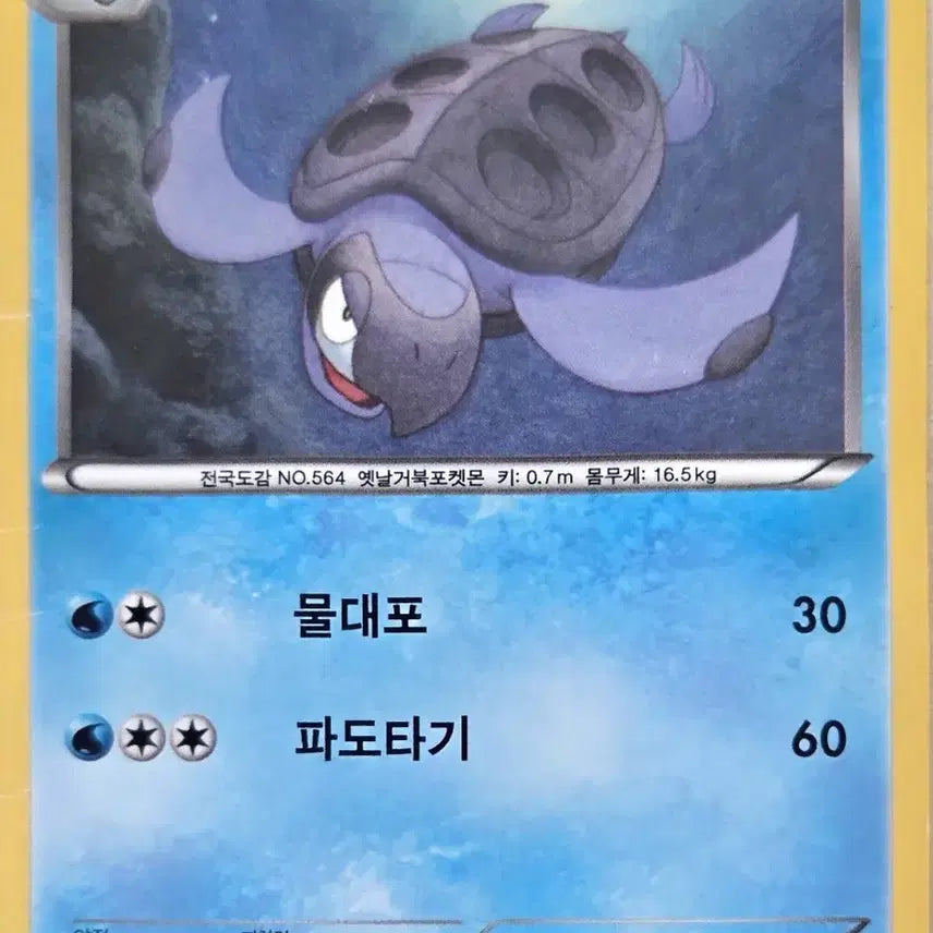 [BUNJANG] Proto-ga Pokemon Card / 프로토가 포켓몬 카드