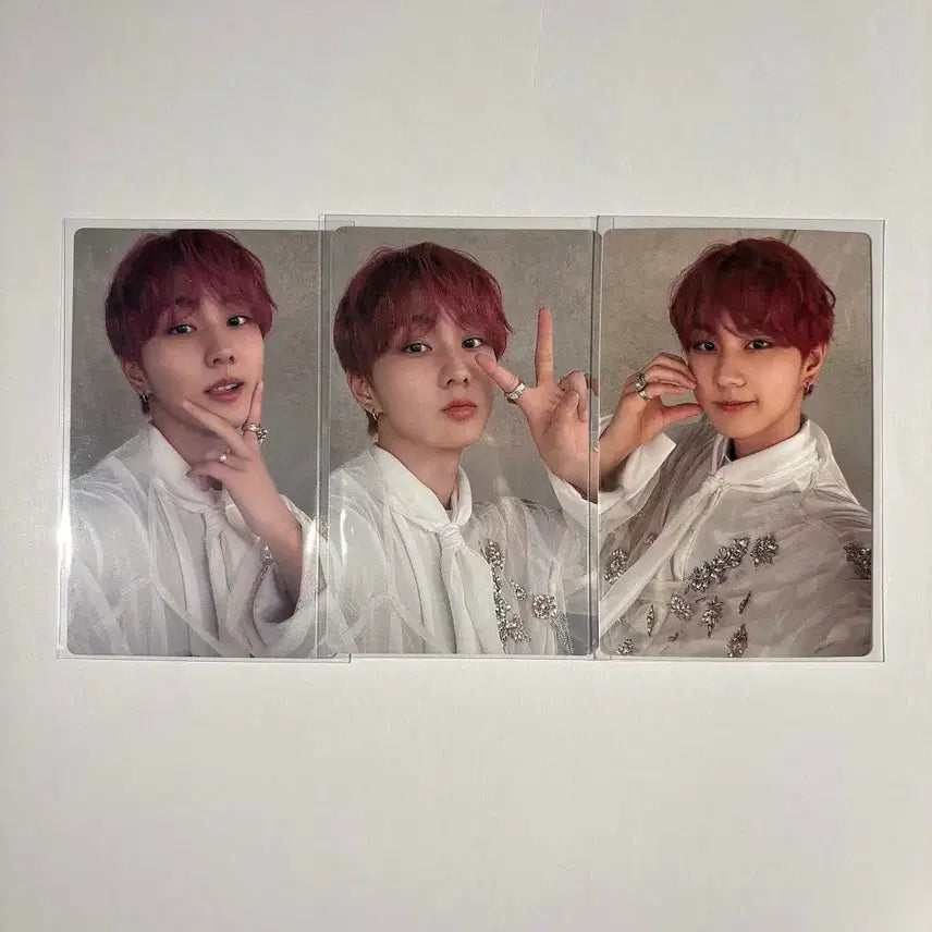 [BUNJANG] ENHYPEN Jungwon Sadame Bundle Set Photocard / 엔하이픈 정원 사다메 sadame 3장 일괄