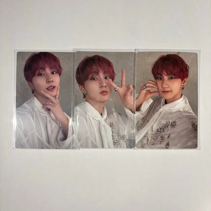 [BUNJANG] ENHYPEN Jungwon Sadame Bundle Set Photocard / 엔하이픈 정원 사다메 sadame 3장 일괄