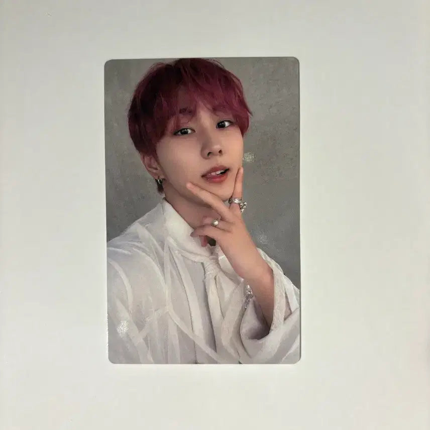 [BUNJANG] ENHYPEN Jungwon Sadame Bundle Set Photocard / 엔하이픈 정원 사다메 sadame 3장 일괄