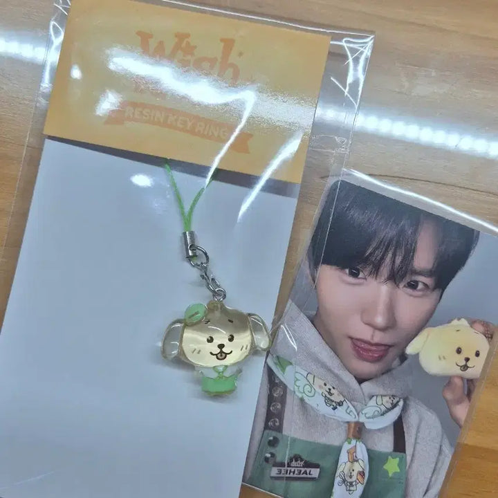 [BUNJANG] Wish Bakery Daintrever Resin Keychain Jaehee Bundle Set / 베이커리 위시 댕트리버 레진키링 재희 7만원 포카 일괄