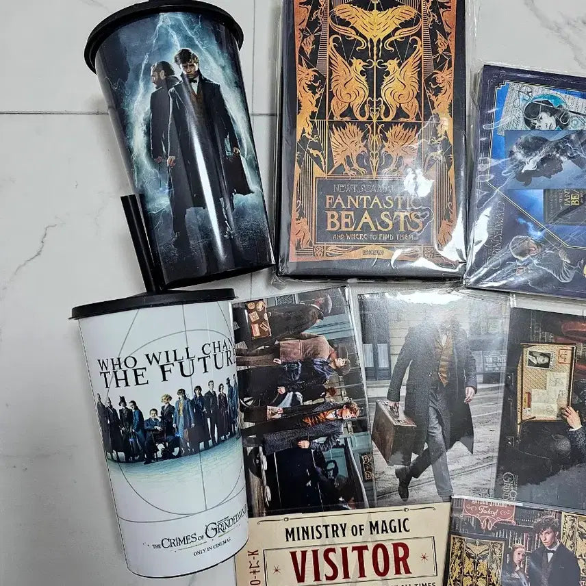 [BUNJANG] Fantastic Beasts Movie Merchandise Collection / 신비한 동물사전 신동사 영화 굿즈 소장품 수집품