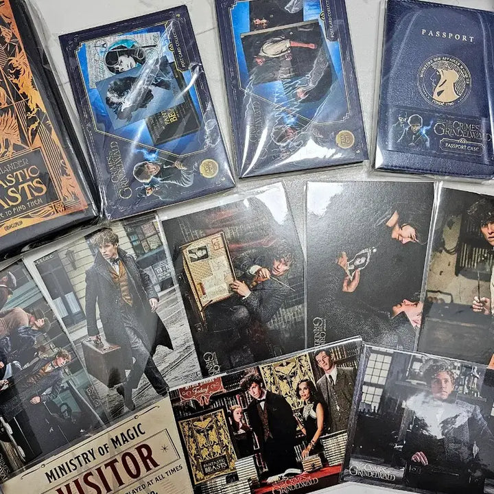 [BUNJANG] Fantastic Beasts Movie Merchandise Collection / 신비한 동물사전 신동사 영화 굿즈 소장품 수집품