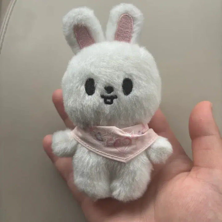 [BUNJANG] Stray Kids SKZOO Rabbbit Plush Bundle Set / 스트레이키즈 인형 스키주 리빗