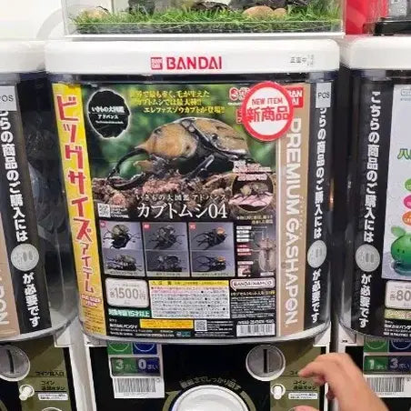 [BUNJANG] Bandai Seibutsu Daikanso Advance Hercules Beetle Vol. 4 / 반다이생물대도감어드밴스 장수풍뎅이4탄 헤라클레스