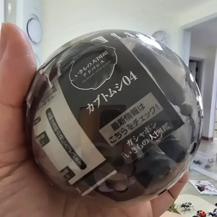 [BUNJANG] Bandai Seibutsu Daikanso Advance Hercules Beetle Vol. 4 / 반다이생물대도감어드밴스 장수풍뎅이4탄 헤라클레스