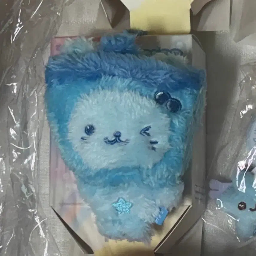 [BUNJANG] NCT WISH Yushi Color Wish Doll Blue Bubble Cat / 엔시티 위시 유우시 컬러 위시돌 파랑 버블냥 양도