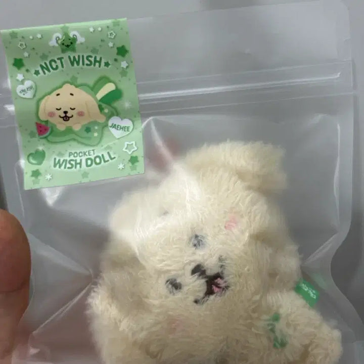[BUNJANG] NCT Wish Jahee Dangtreever Sealed K-Pop Doll / 미개봉 엔시티 위시 포켓 위시돌 재희 댕트리버 jahee nct wish