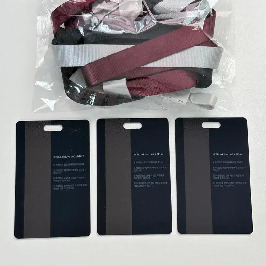 [BUNJANG] Lize Mashiro Hinata ID Card Bundle / 스텔라이브 리제 마시로 히나 사원증 일괄