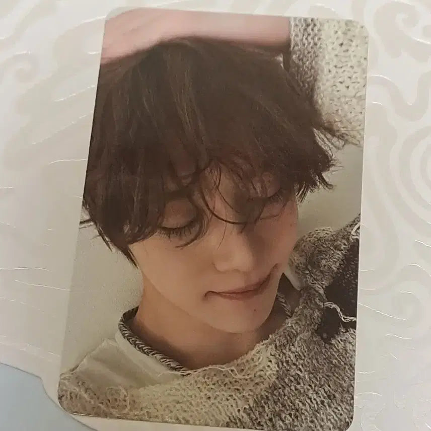 [BUNJANG] NCT WISH Sion Steady Photocard / 엔시티 위시 시온 스테디 포카
