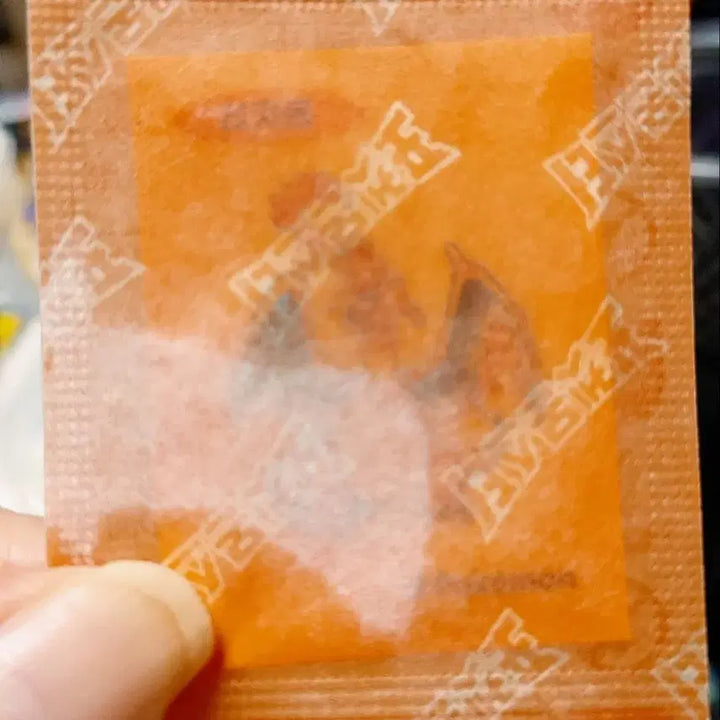 [BUNJANG] Sealed Pokemon Charizard Sticker / 미개봉 포켓몬 리자몽 띠부씰