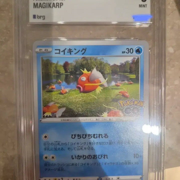 [BUNJANG] Pokemon Magikarp Japanese Graded Card (BRG 9) / 포켓몬 잉어킹 일판 brg9 등급카드