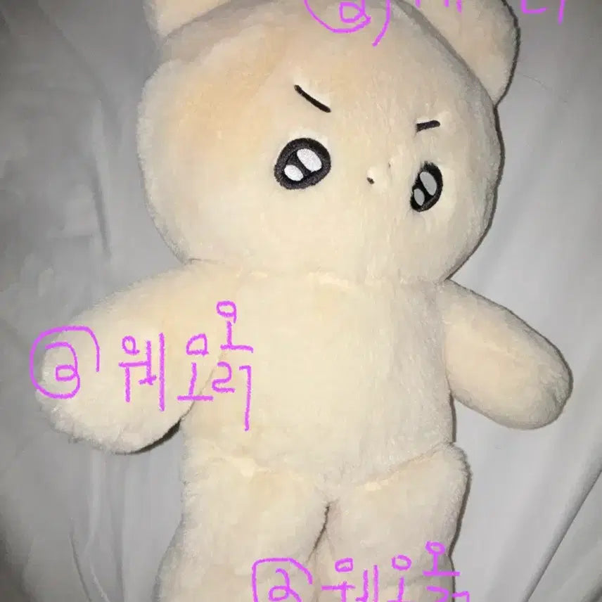 [BUNJANG] The Boyz Hyun Dong-i Doll / [반택포] 왕횬도리 인형