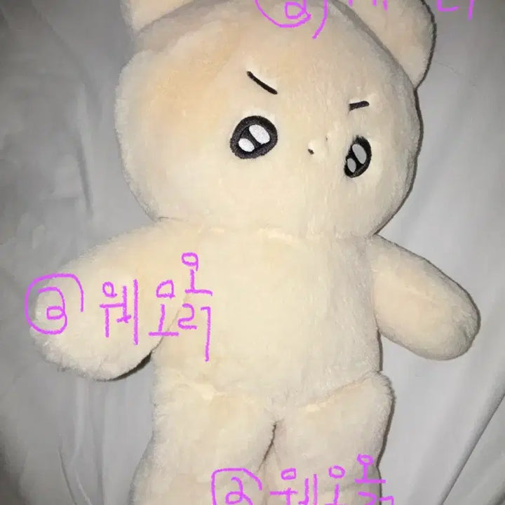 [BUNJANG] The Boyz Hyun Dong-i Doll / [반택포] 왕횬도리 인형