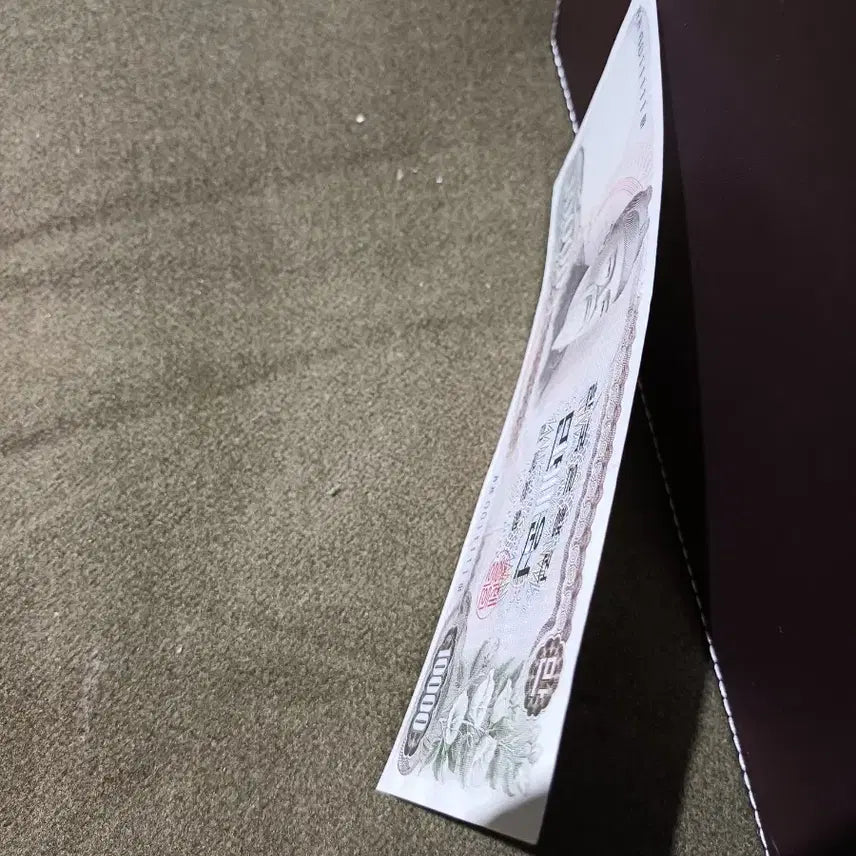 [BUNJANG] Bank of Korea 1st Edition 10,000 Won Note (Semi-Solid Note) / 한국은행권 제1차 10000원 준솔리드노트