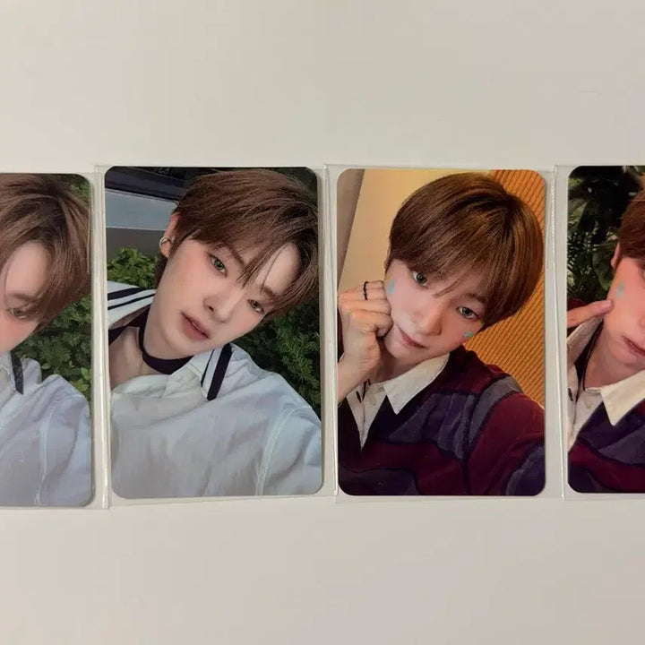 [BUNJANG] Flareup Kang Woojin Fanmeeting Photocard Bundle Set / 플레어유 강우진 팬밋업 포카