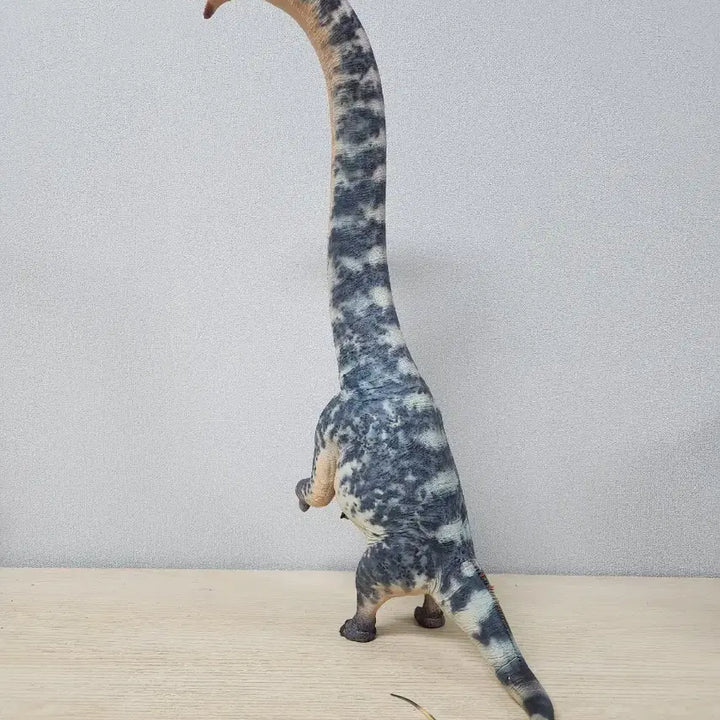 [BUNJANG] Haolonggood Sauroposeidon Model Kit / 하오롱굿 사우로포세이돈 haolonggood sauroposeidon
