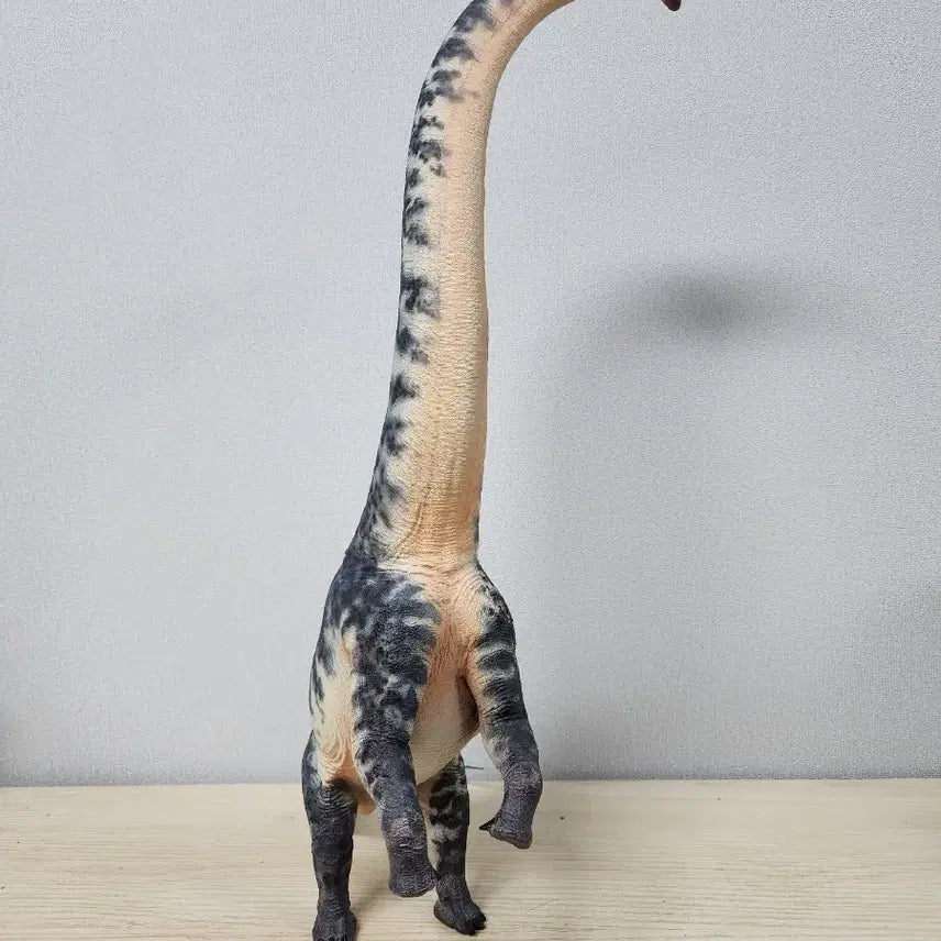 [BUNJANG] Haolonggood Sauroposeidon Model Kit / 하오롱굿 사우로포세이돈 haolonggood sauroposeidon