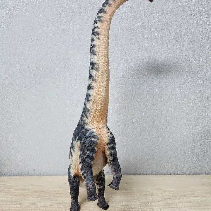 [BUNJANG] Haolonggood Sauroposeidon Model Kit / 하오롱굿 사우로포세이돈 haolonggood sauroposeidon