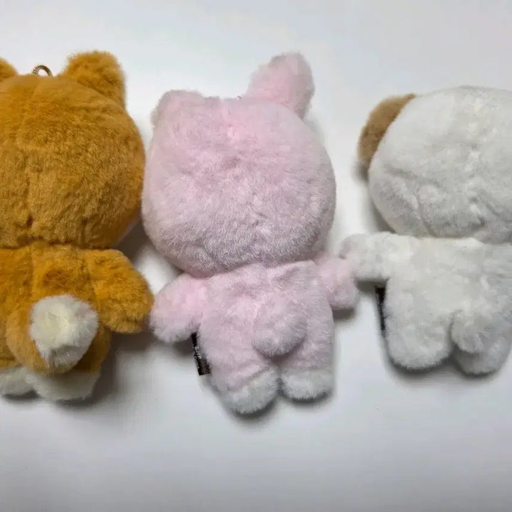 [BUNJANG] Day6 Petit Merz Keppildon Bundle Set / 데이식스 쁘띠멀즈 케필돈 일괄 판매