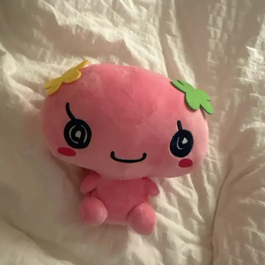 [BUNJANG] Flowerish Plush Doll / 플라워치 봉제 인형