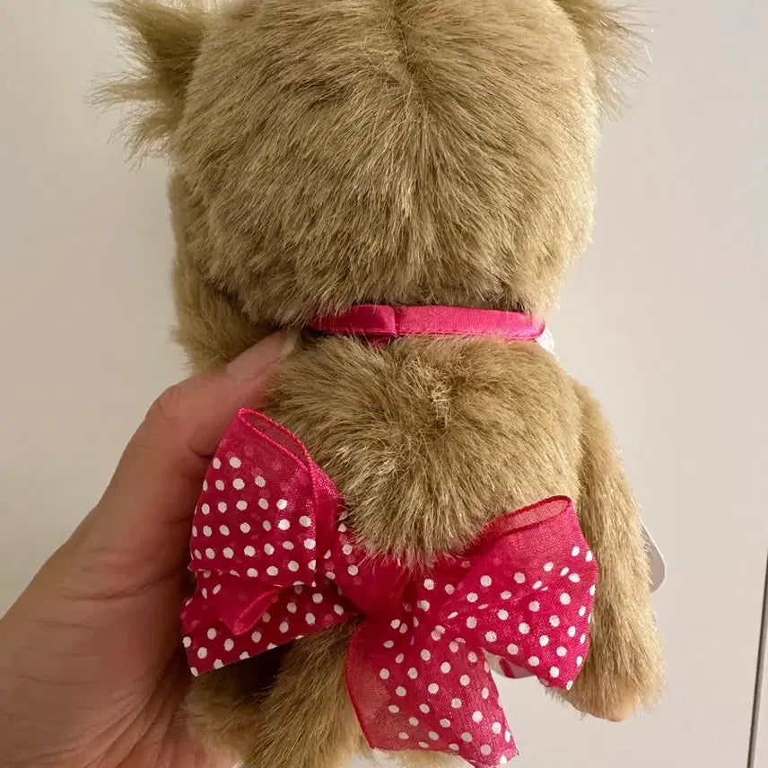 [BUNJANG] Otonalap Monchhichi JOL 5th Anniversary Meruchichi / 오토나랩 몬치치 JOL 몬치치 메루치치