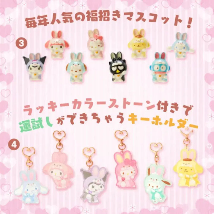 [BUNJANG] Sanrio 2023 Fairy Rabbit Series Pochacco Fortune Mascot / 산리오 2023 페어리 래빗 시리즈 복을 부르는 미니 마스코트 포차코