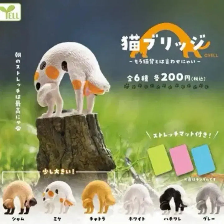 [BUNJANG] Yoga Cat Gacha Figure - Siamese/Gray (Russian Blue) / 요가하는 고양이 가챠 - 샴/회색(러시안블루)
