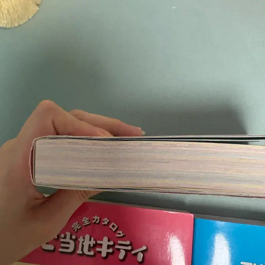 [BUNJANG] Classic Kitty Strap Book Original Catalog Encyclopedia Regional Limited Edition / 고전 키티스트랩 책 원서 카탈로그 도감 지역 한정 파티북 아트북