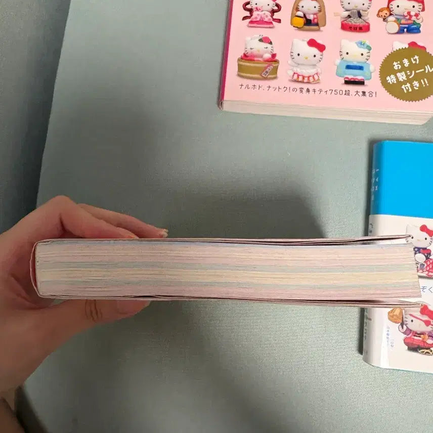 [BUNJANG] Classic Kitty Strap Book Original Catalog Encyclopedia Regional Limited Edition / 고전 키티스트랩 책 원서 카탈로그 도감 지역 한정 파티북 아트북