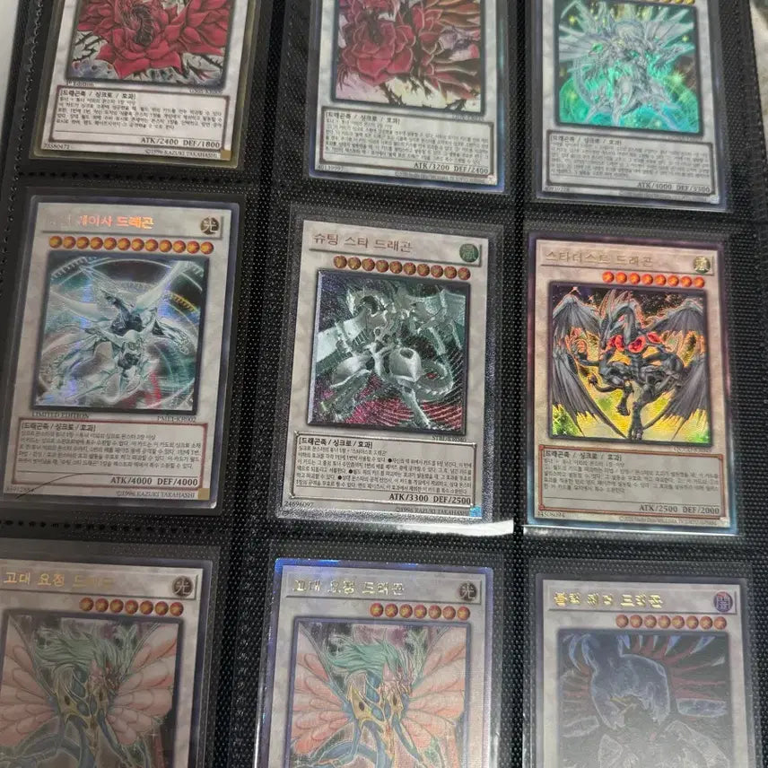 [BUNJANG] Yu-Gi-Oh! Card Collection Bundle / 유희왕카드 모음 일괄