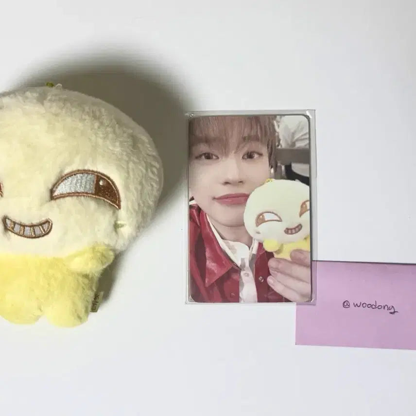 [BUNJANG] NCT DREAM Chenle &