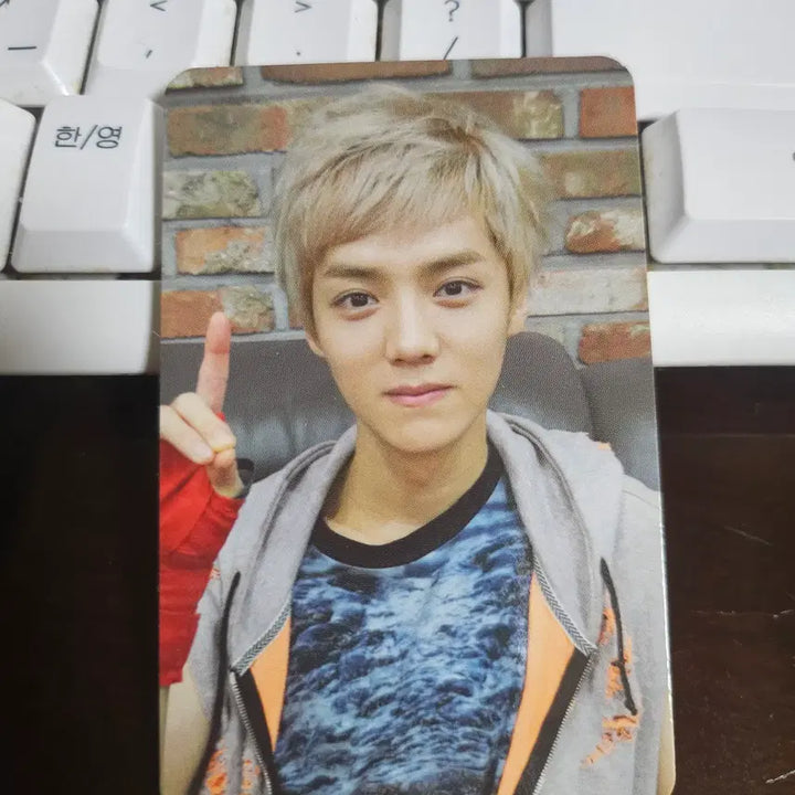 [BUNJANG] EXO Luhan MAMA Photocard / 엑소 루한 마마 포카