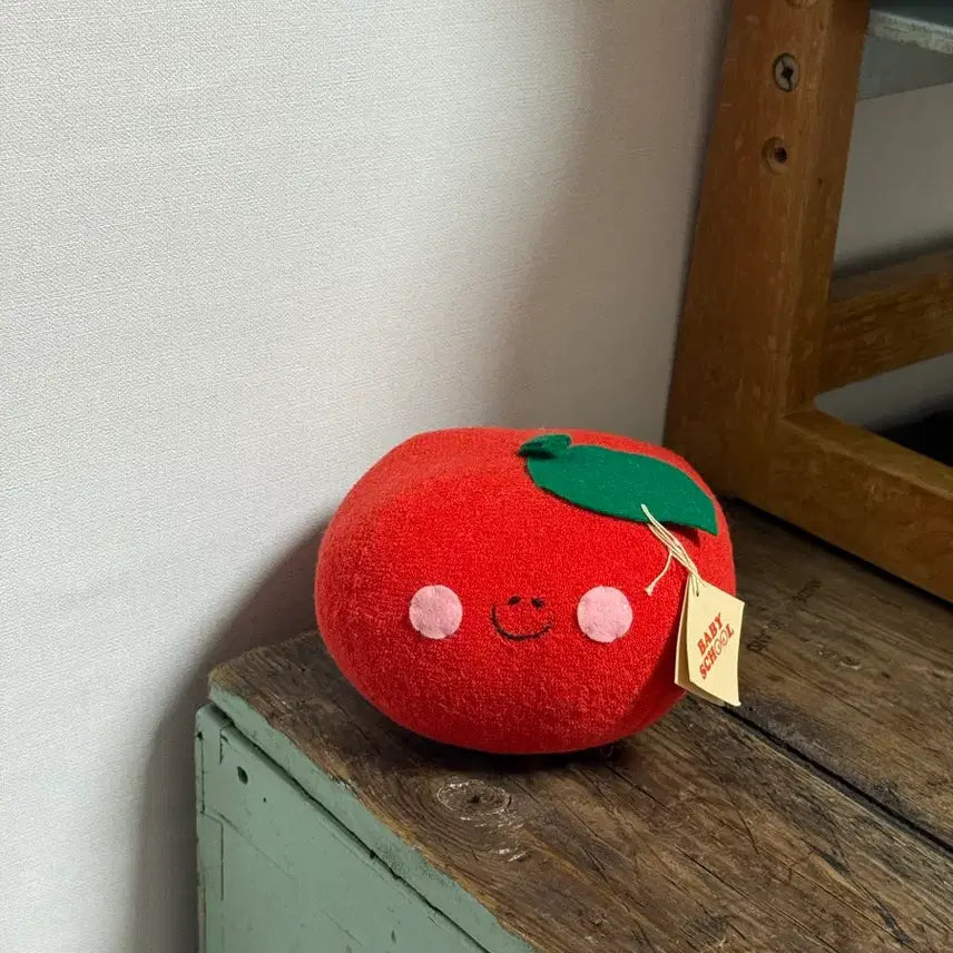 [BUNJANG] Vintage Tomato Plush Wrist Cushion / 팔목쿠션으로 딱 빈티지 토마토