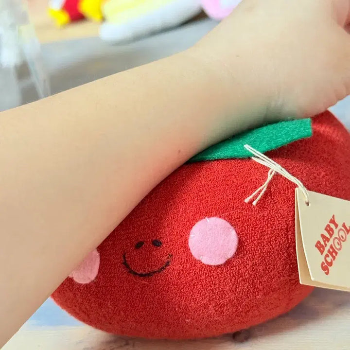 [BUNJANG] Vintage Tomato Plush Wrist Cushion / 팔목쿠션으로 딱 빈티지 토마토