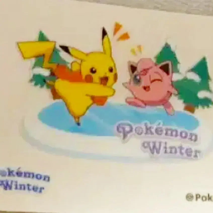 [BUNJANG] Pokemon Winter Big Ttibu Seal / 포켓몬 윈터 빅 띠부씰