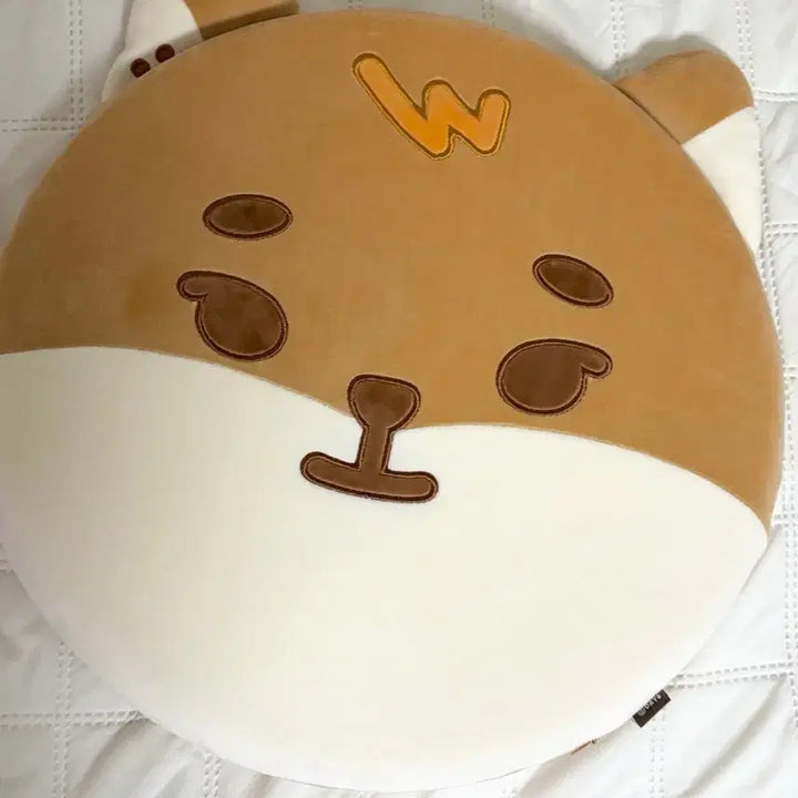 [BUNJANG] Kwangya Cushion Photocard / 케 방석 포카포함