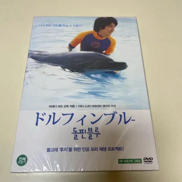 [BUNJANG] Dolphin Blue Sealed DVD / 돌핀 블루 DVD 미개봉