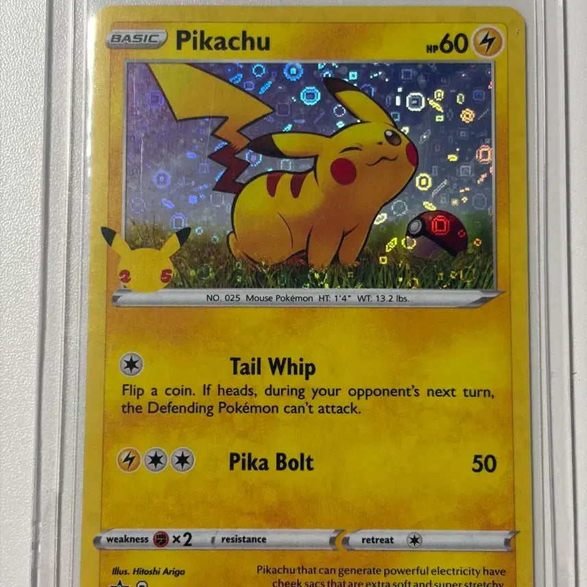 [BUNJANG] Pokemon Card Pikachu Promo / 포켓몬카드 피카츄 프로모
