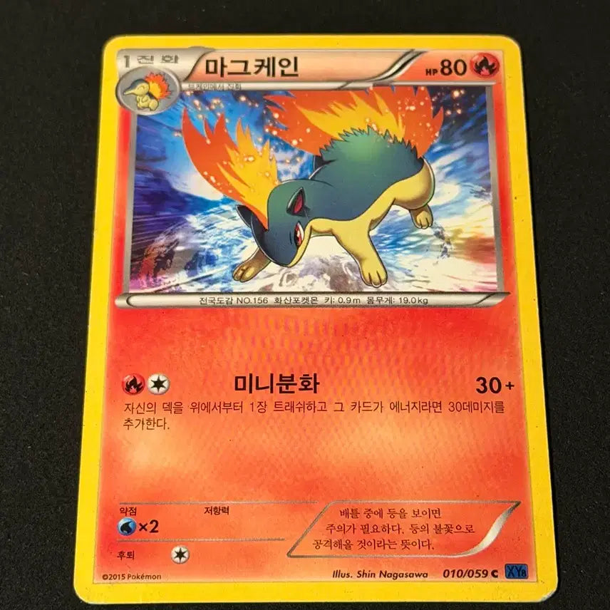 [BUNJANG] Vintage Pokemon Card Magikarp / 고전 포켓몬 카드 마그케인