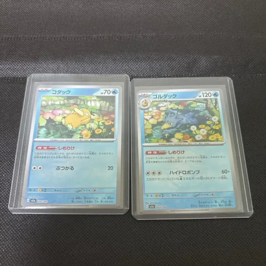 [BUNJANG] Pokemon Psyduck Set Monball / 포켓몬스터 고라파덕 세트 몬볼
