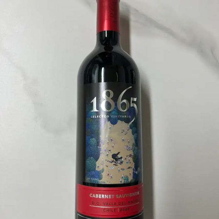 [BUNJANG] 1865 Selected Vineyard Cabernet Sauvignon 2020 Woojinyeong Collaboration Edition / 1865 셀렉티드 빈야드 카베르네 소비뇽 와인 공병 (우진영 콜라보)