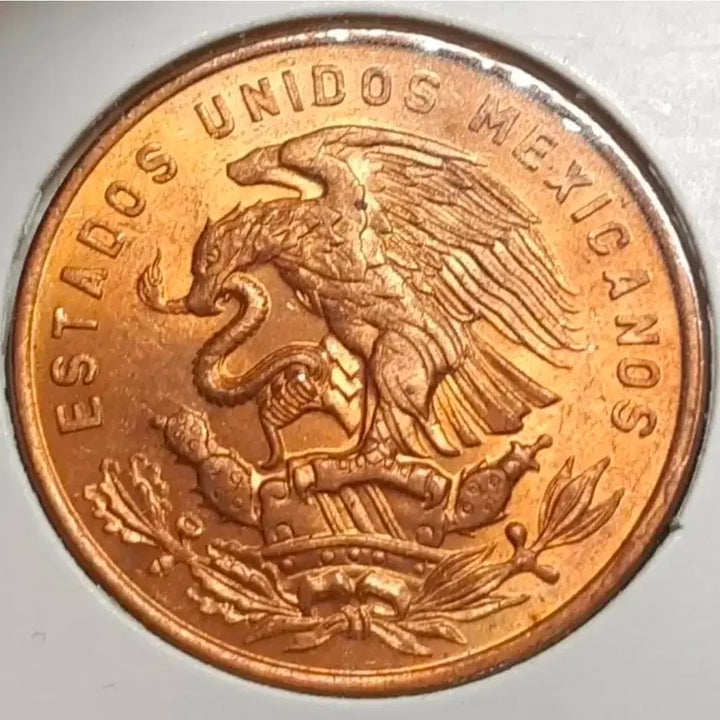 [BUNJANG] Mexico 1965 20 Centavos Large Unused Coin / 멕시코 미사용 1965년 20센타보스 대형주화.주화 동전 화폐 외국주화